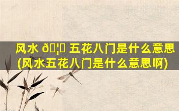 风水 🦍 五花八门是什么意思(风水五花八门是什么意思啊)